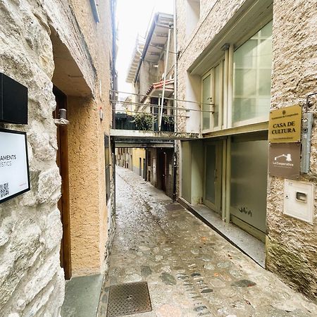 Apartamento Duplex En El Corazon De Camprodon, La Rovira Εξωτερικό φωτογραφία
